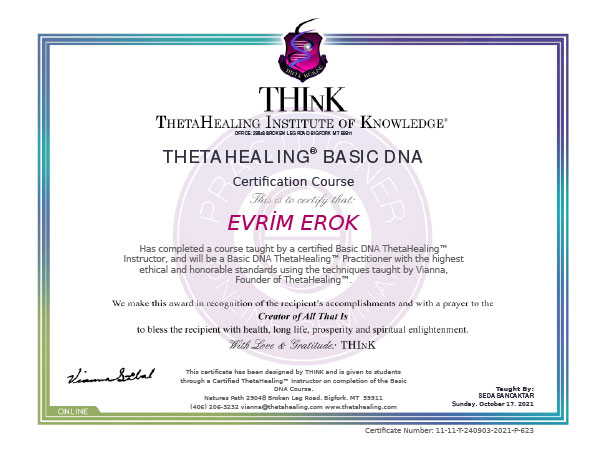 Evrim Erok