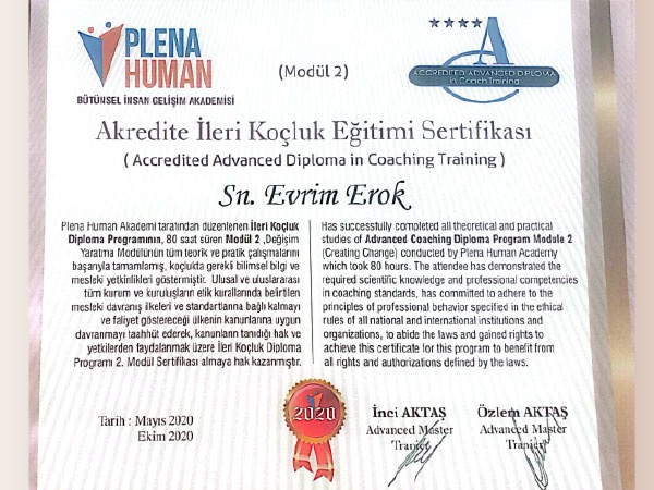 Evrim Erok